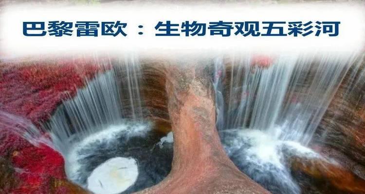 热带岛屿（以卡牌生存游戏为例，详解如何在热带岛屿生存）