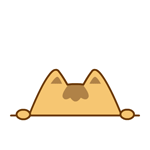 乖乖猫卖萌主题qq表情包_2