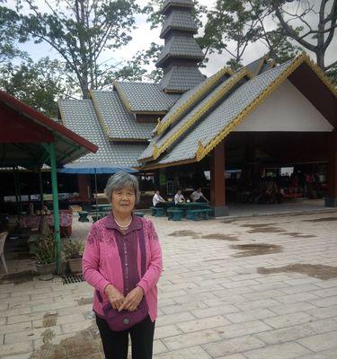 老人旅行游戏攻略——让岁月在游戏中流转（为老年人设计的旅行游戏攻略，让他们在游玩中感受快乐和活力）