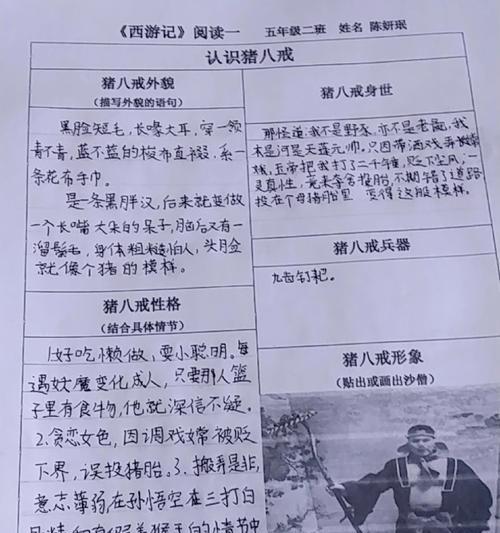 猪八戒装备铭文和出装攻略（提升猪八戒输出能力的铭文选择和最佳出装推荐）