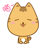 乖乖猫卖萌主题qq表情包_8