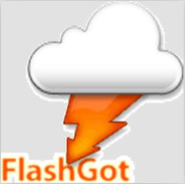 FlashGot(火狐下载工具)