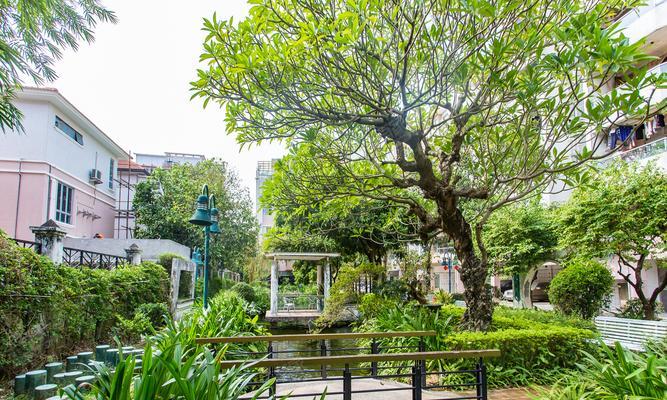 翡翠花园出装攻略（打造无敌阵容，征战王者峡谷）