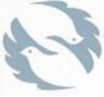 灰鸽子黑防专版正式版