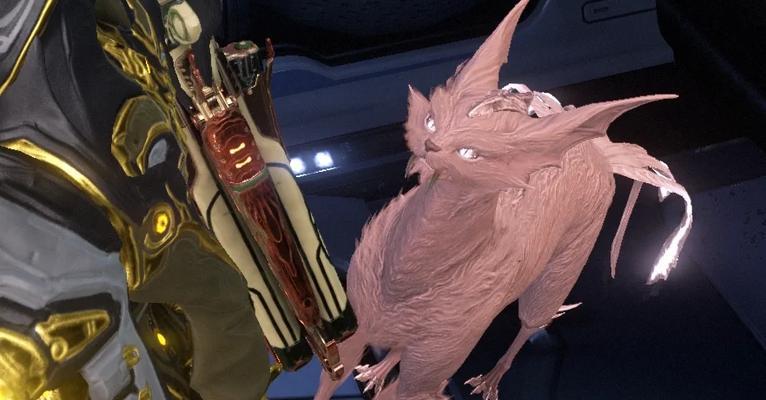 星际战甲猫攻略（从菜鸟到高手，轻松拥有最强猫队伍！）