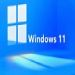 windows11中文专业版正版 v11.0 去广告版