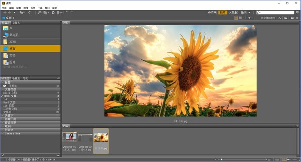 Adobe Bridge CS6 v6.2 专业版