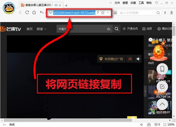 het playerv1.6.5免费版