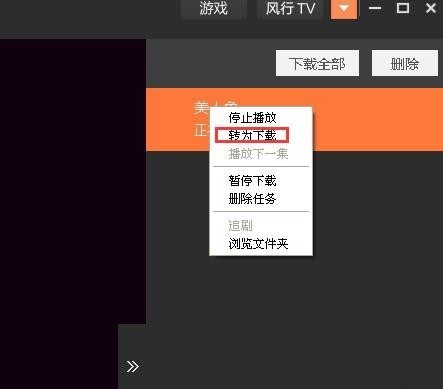 风行视频v3.0.6.106官方正式版