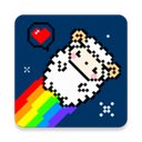  星咩视频壁纸app v1.3.9安卓版