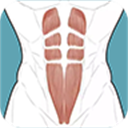 跟我练腹肌app v3.1.0安卓版
