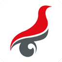  学信网手机app最新版本 v2.5.8安卓版