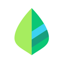  薄荷记账app v11.5.6安卓版