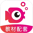  鲤鱼辅导app v7.9.1安卓版