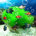  水族馆动态壁纸桌面屏保 v5.3安卓版