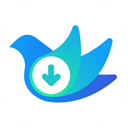  云雀idm网页视频下载器手机版 v18.56安卓版