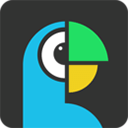  拍拍译app v5.0.1安卓版