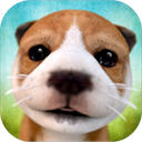  狗狗模拟器游戏(DogSimulator) v2.2.3安卓版