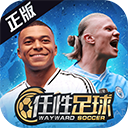  任性足球应用宝版 v0.24.0安卓版