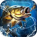  天天爱钓鱼单机版 v2.4.11安卓版