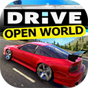  RS开放世界驾驶ios版 v1.55