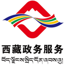  西藏政务ios版 v292