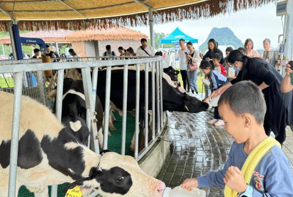 拓展捕鱼达人攻略（掌握技巧，提高分数！）