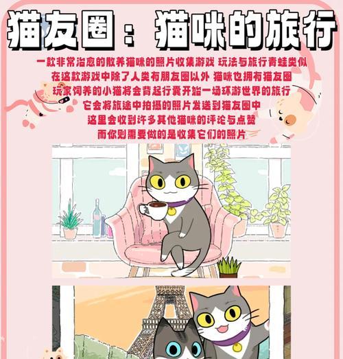 《如何养好一只虚拟猫？游戏攻略大揭秘！》（养猫达人传授经验，让你的虚拟猫生活更加精彩）