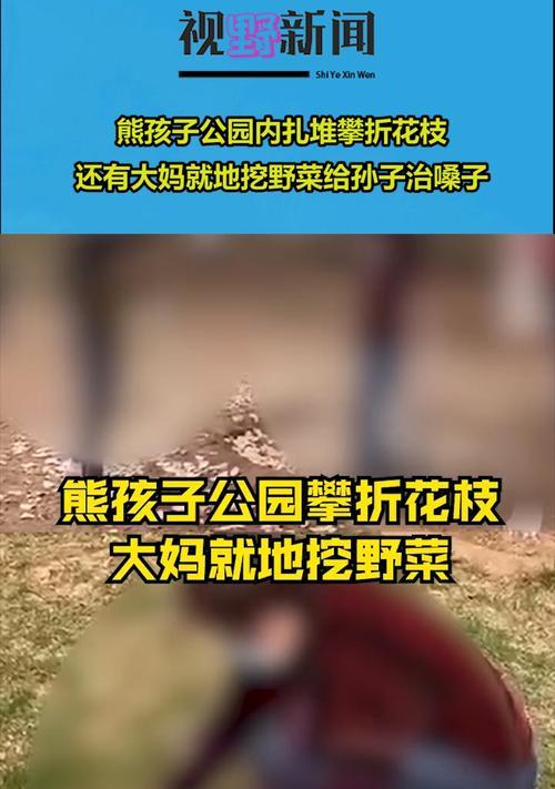 带熊孩子去公园攻略游戏（让孩子尽情享受公园游玩的乐趣）