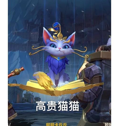 手游猫咪标准出装攻略（从入门到精通，一起来探索猫咪的无限魅力吧！）