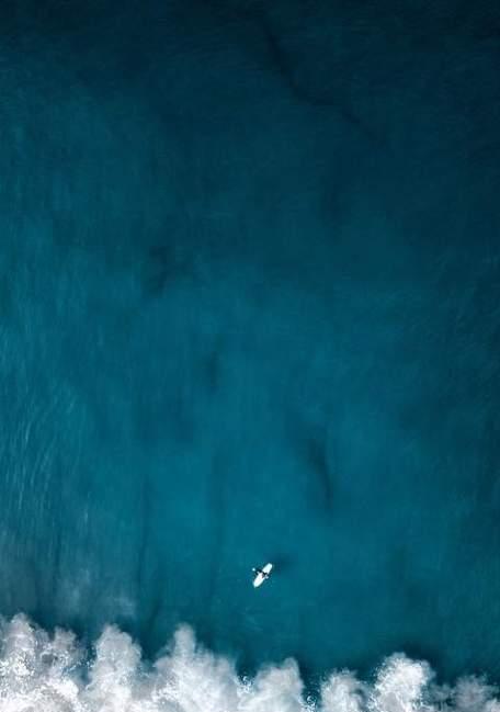 探秘神秘马尾藻海的奇妙世界（揭开神秘马尾藻海背后的秘密，解读其独特的生态系统）