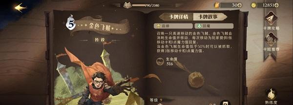 《哈利波特新人出装攻略》（成为魔法世界的一员，从穿搭开始！）