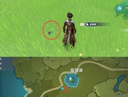 《原神》七天神像位置一览