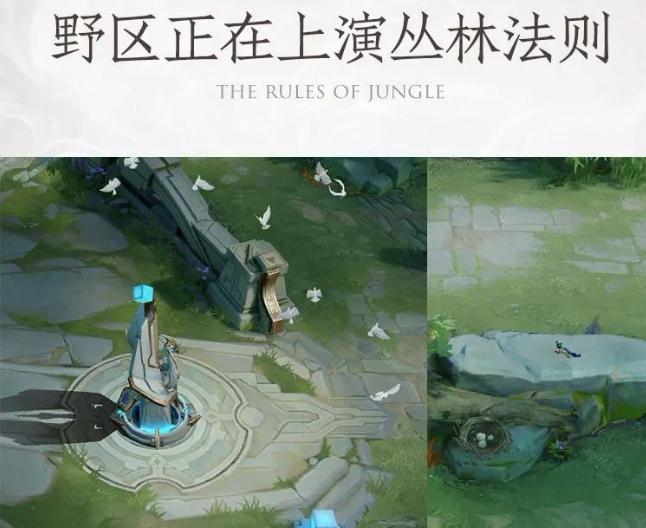 王者荣耀白鸽技能攻略，带你飞翔战场！（解析白鸽技能，成为无敌的空中杀手）