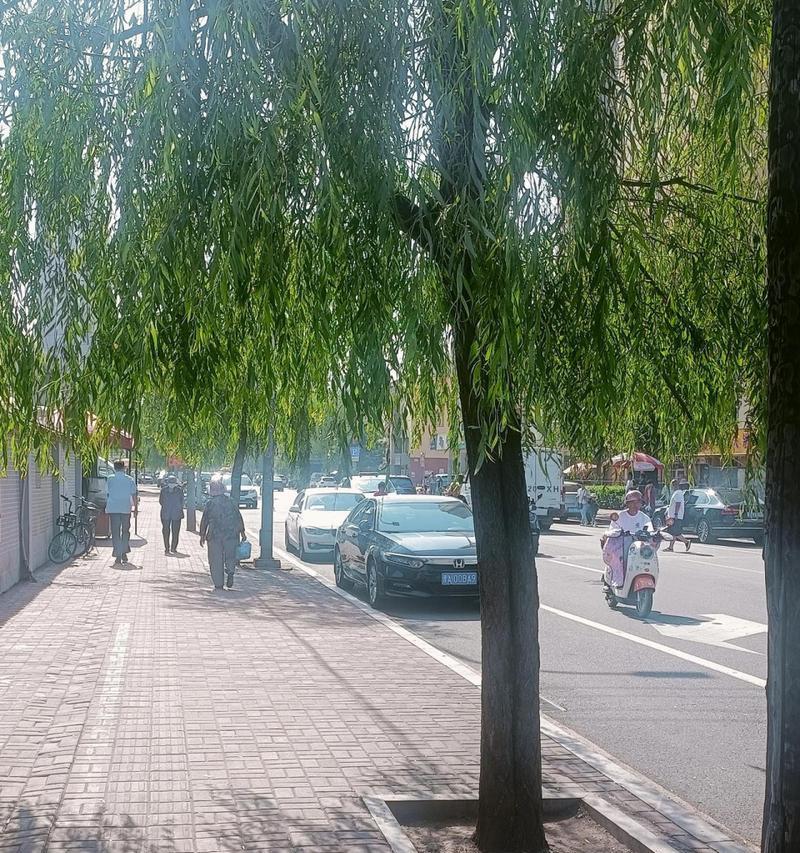 大妈技能加点配置攻略（提升大妈技能的完美指南，助你成为无敌大妈！）