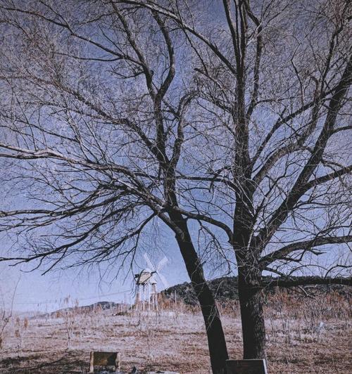 《废弃庄园之谜》攻略大揭秘（探索谜题、解锁奥秘，让你成为废弃庄园之王！）