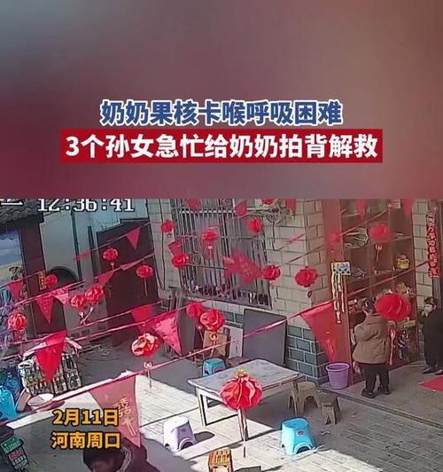 奶奶三孙女游戏攻略——开启亲情乐园（与奶奶共度美好时光，三姐妹玩转亲情游戏）