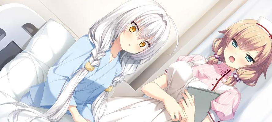 无尽改版下的阿轲出装攻略（重塑刺客之花的利刃利器与装备选择）