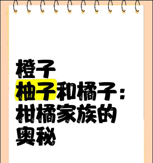 揭秘以橙子谜题攻略第四（挑战思维极限，破解最难关）