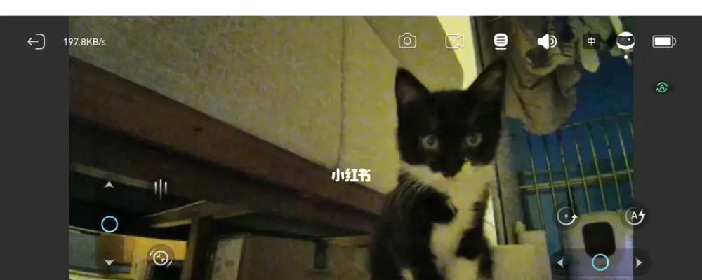 逃离蒙面深林（把握关键线索，勇敢面对恐惧，化险为夷）