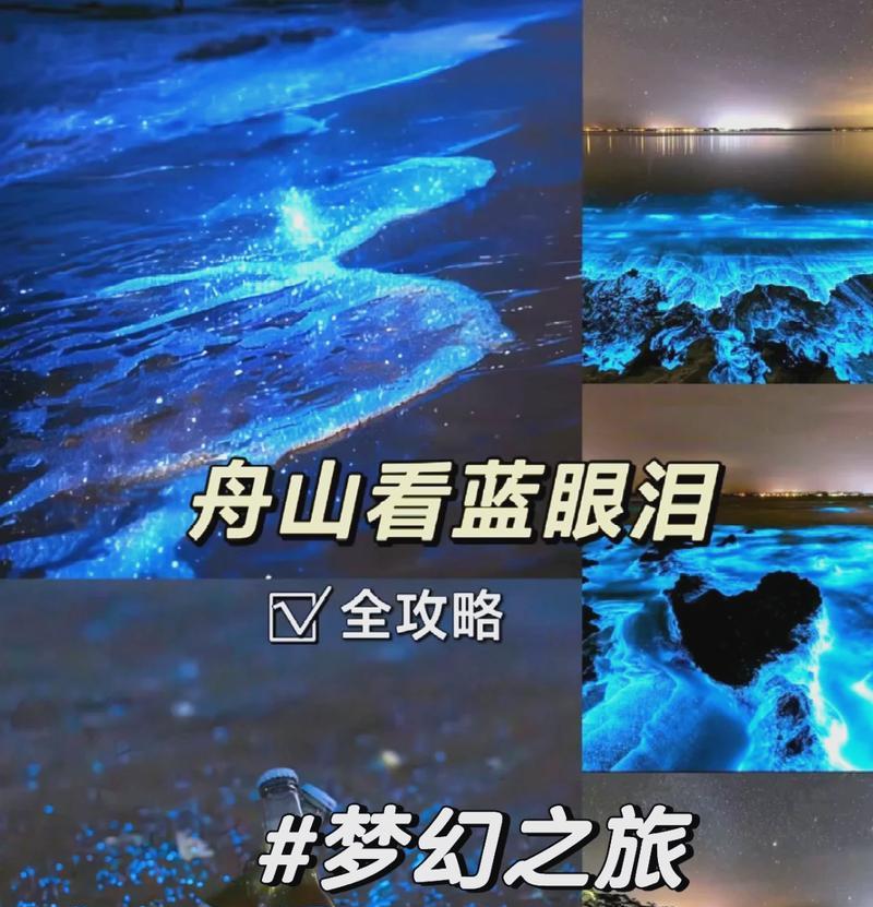 新天骄刺客攻略（成为新天骄刺客的关键技巧与策略）