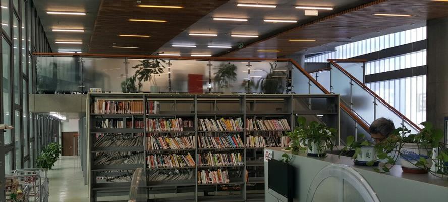 夏阳最新阵容出装顺序攻略——打造最强攻击输出！（掌握夏阳的装备顺序，快速提升战斗能力！）