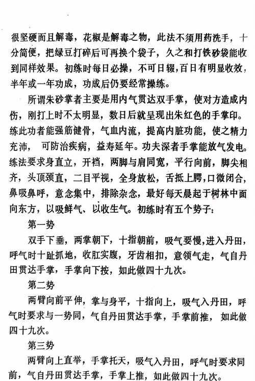 以大掌门功力获得攻略（揭秘大掌门功力的奥秘，为你带来无敌攻略！）