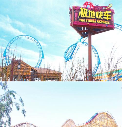 疯狂马戏团攻略（揭秘疯狂马戏团的绝技，让你成为马戏团明星）