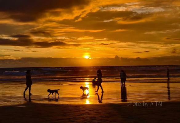 阿泰出装攻略（掌握装备技巧，成为绝地求生王者）