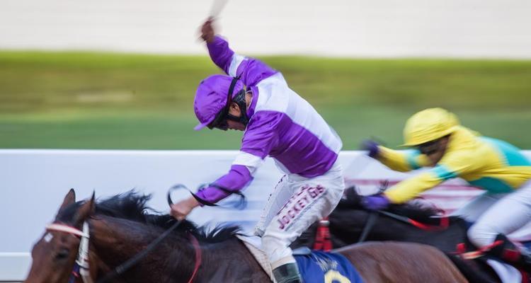 2023赌马攻略（揭秘2023年最新赌马技巧，大幅提升胜率！）