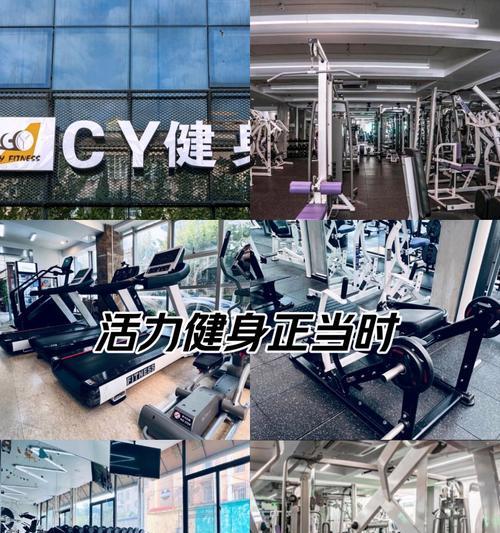 《以爱的健身游戏攻略》（让健身变成一种享受的秘诀）