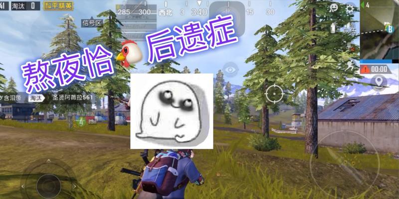 《探寻山谷吃鸡技能加点攻略》（用技能加点提升战斗力，成为吃鸡王者）