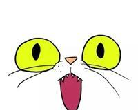 大脸猫逃生游戏攻略（探索密室，解谜逃生！）