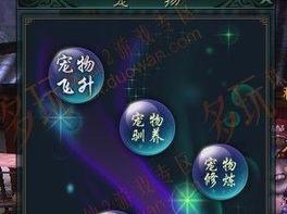 诛仙宠物怎么升星,详解资质修炼与星级提升之道